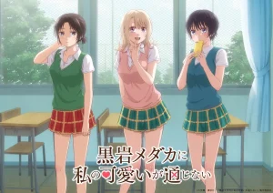 我的可爱对黑岩目高不管用-bluray