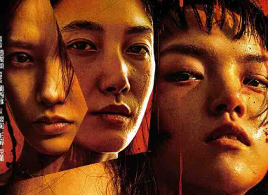 向阳·花/出狱女子的故事 / We Girls 2025-bluray