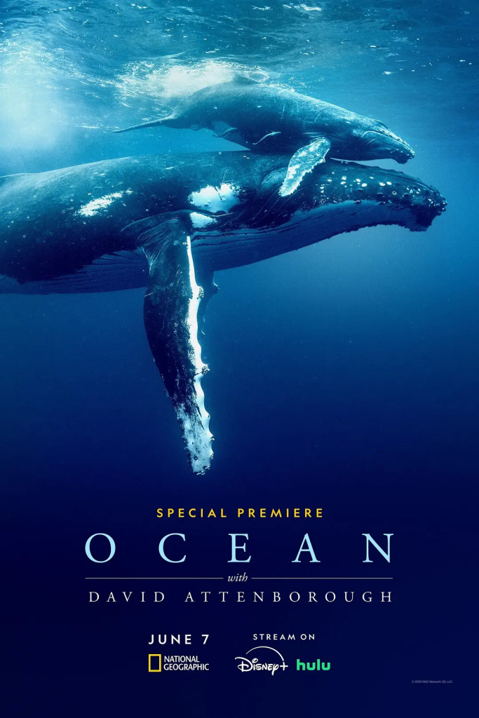 大卫·爱登堡：海洋 WEB-DL版下载/Ocean with David Attenborough 2025 David Attenborough: Ocean 7.87G-bluray